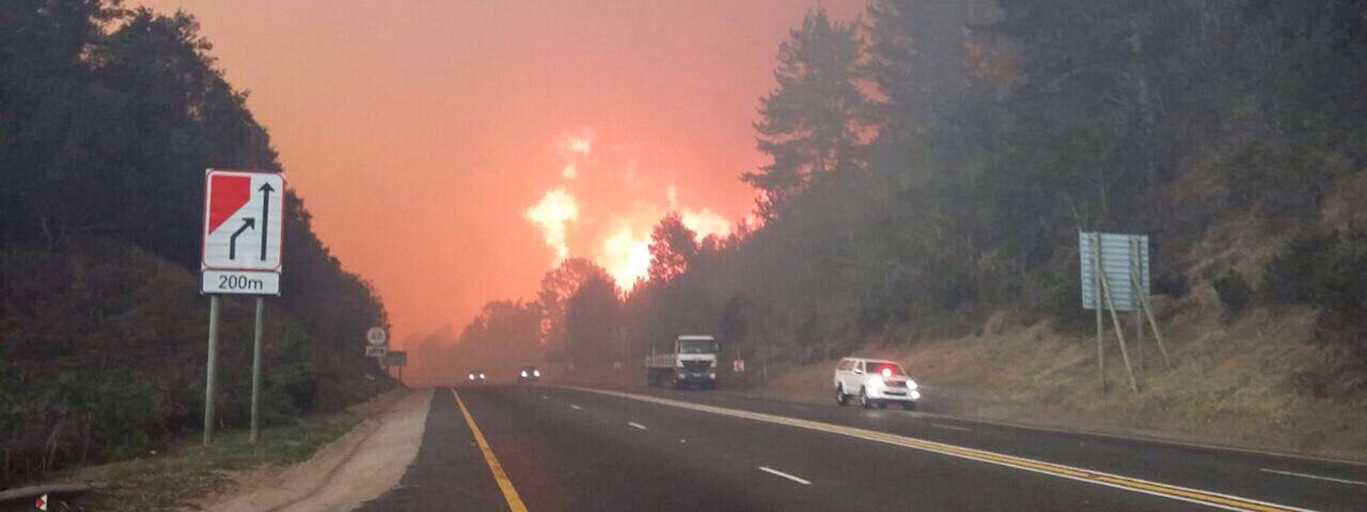 Reconstrucția cu lemn recuperat după cel mai grav incendiu de pădure din africa de sud.